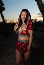 Load image into Gallery viewer, bohemian roses fairy set