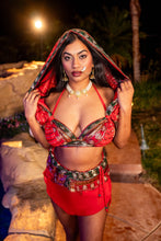 Load image into Gallery viewer, Royal Rani Fairy Set