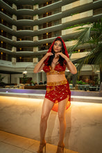 Load image into Gallery viewer, Royal Fire Fairy Set