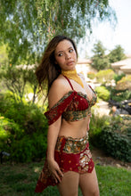 Load image into Gallery viewer, Midnight maroon fairy set