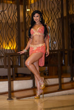 Load image into Gallery viewer, Peach Princess Fairy Set