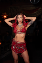 Load image into Gallery viewer, Royal rani fairy set