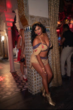 Load image into Gallery viewer, Gypsy rose fairy set