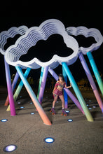 Load image into Gallery viewer, Indigo Wildflower Fairy Set