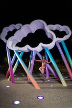 Load image into Gallery viewer, Indigo Wildflower Fairy Set