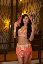 Load image into Gallery viewer, Peach Princess Fairy Set