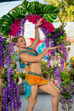 Load image into Gallery viewer, sunset princess fairy set