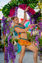 Load image into Gallery viewer, sunset princess fairy set