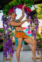 Load image into Gallery viewer, sunset princess fairy set