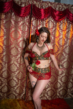 Load image into Gallery viewer, Midnight maroon fairy set