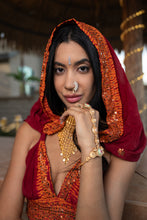 Load image into Gallery viewer, Zebra Fire Mini Skirt Set