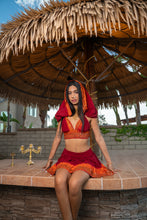 Load image into Gallery viewer, Zebra Fire Mini Skirt Set