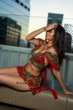 Load image into Gallery viewer, Royal Rani Fairy Set