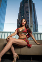 Load image into Gallery viewer, Royal Rani Fairy Set