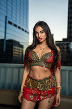 Load image into Gallery viewer, Royal Rani Fairy Set