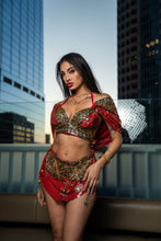 Load image into Gallery viewer, Royal Rani Fairy Set