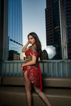 Load image into Gallery viewer, Royal Rani Fairy Set