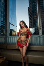 Load image into Gallery viewer, Royal Rani Fairy Set