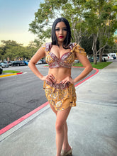 Load image into Gallery viewer, Desert Rose Fairy Set