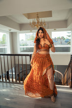 Load image into Gallery viewer, Golden Fire Bollywood Set

