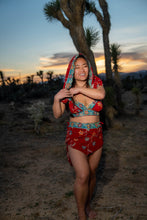 Load image into Gallery viewer, rose garden fairy set
