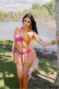 pink sunset butterfly set