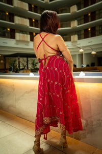 Golden Fuscia Magic Dress
