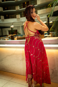 Golden Fuscia Magic Dress