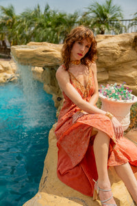 Golden Peach Magic Dress