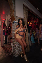 Load image into Gallery viewer, Gypsy rose fairy set
