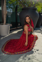 Load image into Gallery viewer, Royal Bandhani Bollywood Set
