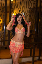 Load image into Gallery viewer, Peach Princess Fairy Set
