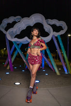 Load image into Gallery viewer, Indigo Wildflower Fairy Set
