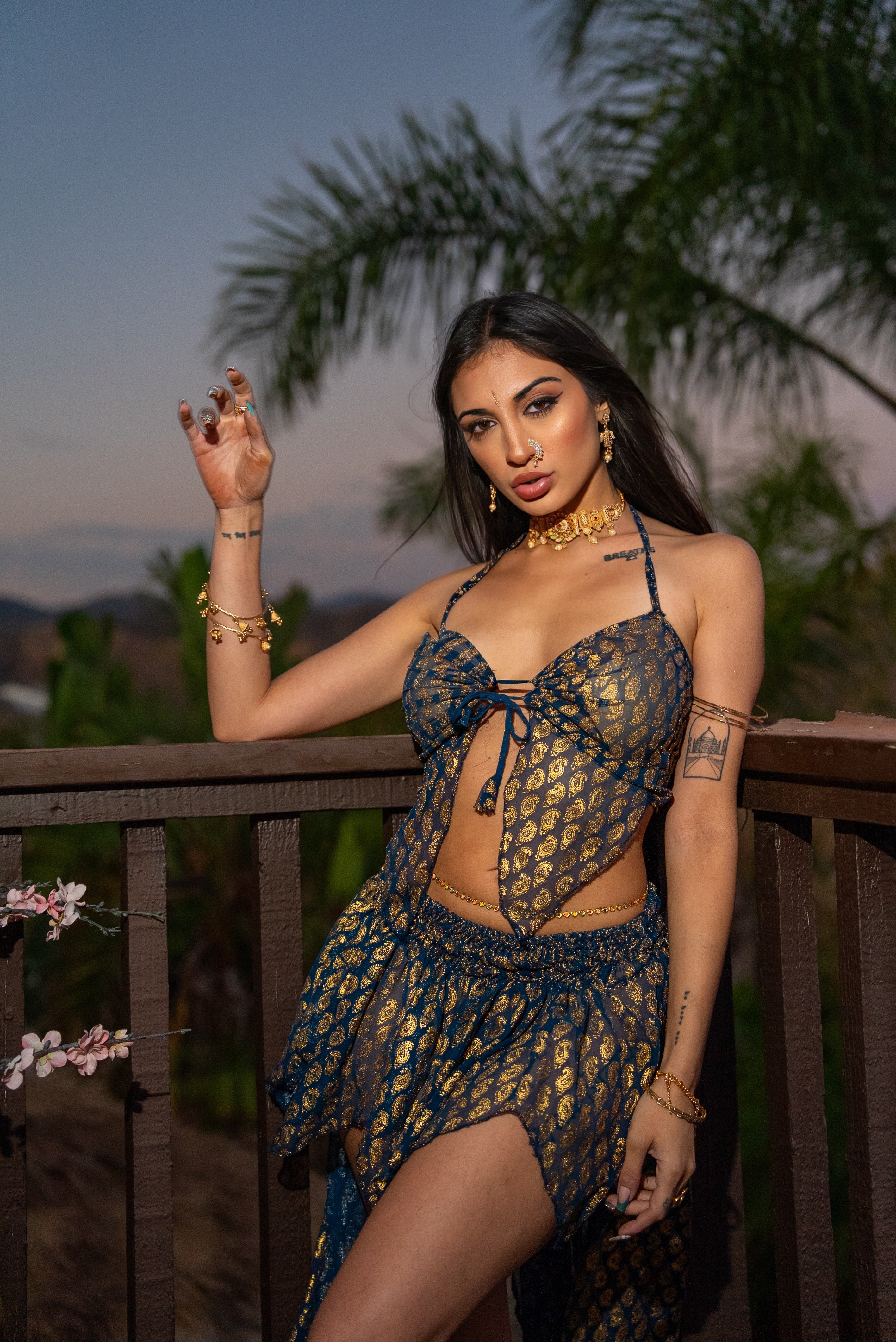 Golden moonlight butterfly set