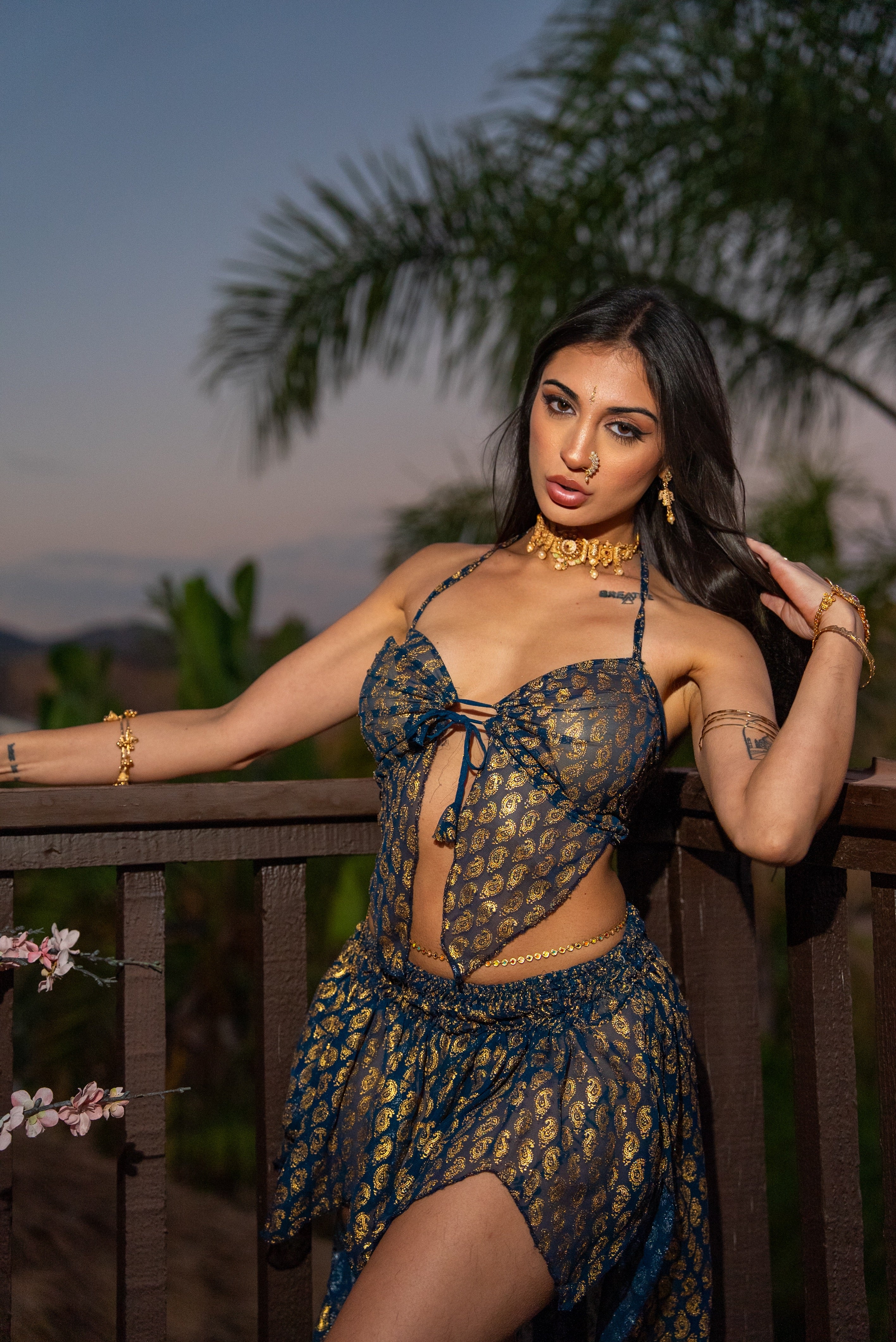 Golden moonlight butterfly set