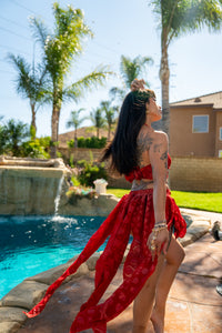 Fire Princess Butterfly Set