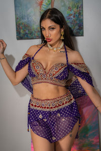 Purple Moonlight Fairy Set
