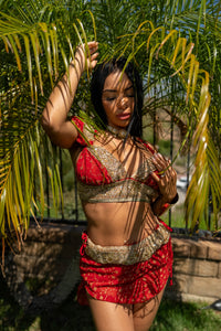lovergirl fairy set