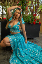 Load image into Gallery viewer, Diamond Blossoms Bollywood Set
