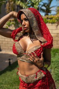 lovergirl fairy set