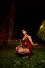 Load image into Gallery viewer, Crimson Rose Fairy Set
