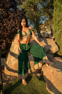 Emerald Gold Sharara Pants Set