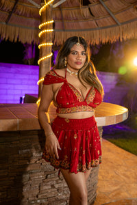 bohemian roses mini skirt set
