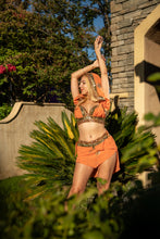 Load image into Gallery viewer, Peach Forest Fairy Set
