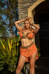 Peach Forest Fairy Set