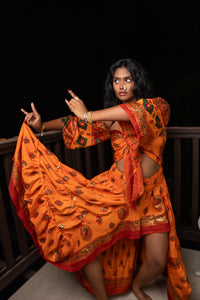 Radha Peacock Bollywood Set