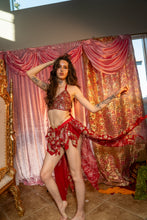 Load image into Gallery viewer, royal rose butterfly set
