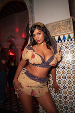Load image into Gallery viewer, Gypsy rose fairy set

