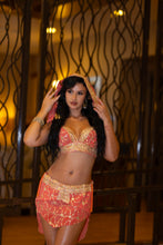 Load image into Gallery viewer, Peach Princess Fairy Set
