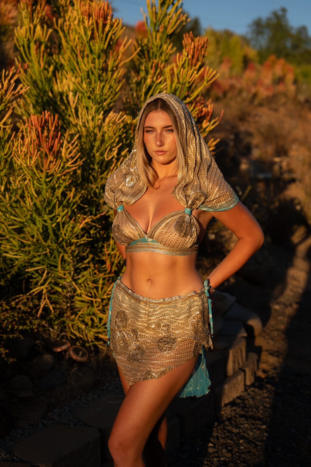 Champagne Oasis Fairy Set